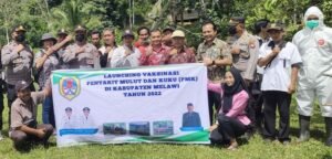 Melawi Launching Vaksinasi PMK Tahun 2022