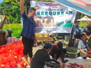 DPD IKM Melawi Salurkan Daging Kurban untuk Duafa
