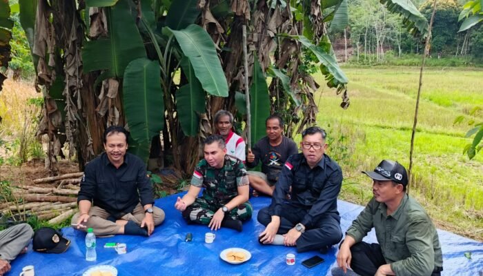 Monitoring dan Evaluasi serta Inspeksi Pelaksanaan Kegiatan Optimasi Lahan Sawah di Desa Nanga Nuak