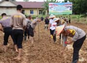 Langkah Nyata Polres Melawi, Tanam Jagung Dukung Program Ketahanan Pangan