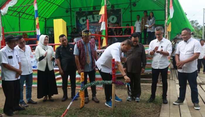 Terang dan Bersih, Desa Pelinggang Kini Tersambung Listrik dan Air Bersih, Bupati Melawi Resmikan Dua Infrastruktur Vital