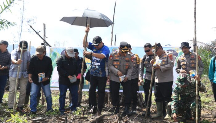 Bupati Melawi Tanam Jagung Hibrida di Desa Nanga Kompi, Dorong Swasembada Pangan Tahun 2025