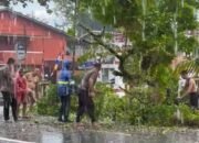 Sigap di Tengah Hujan, Personel Polres Melawi Evakuasi Pohon Tumbang