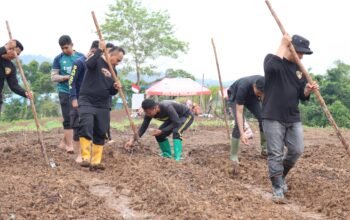 Gerakan Hijau Polres Melawi, Kapolres Turun Langsung Tanam Jagung Bersama Personel