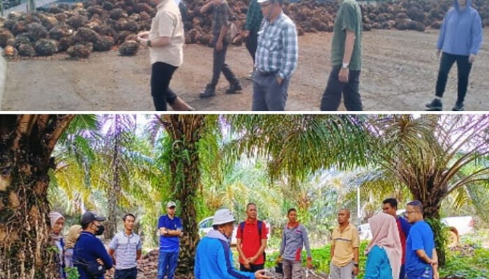 Strategi “Segitiga Berlian” Jadi Senjata Perusahaan PT. Rafi Kamajaya Abadi Pulihkan Kepercayaan Publik