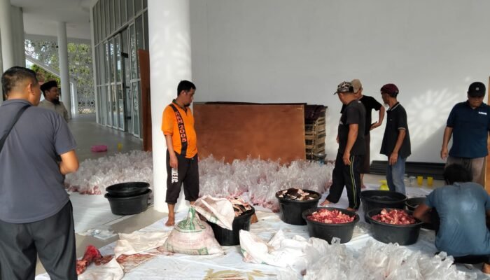 6 Ekor Sapi Disembelih, Masjid Agung Kota Juang Melawi Bagikan 764 Kantong Qurban