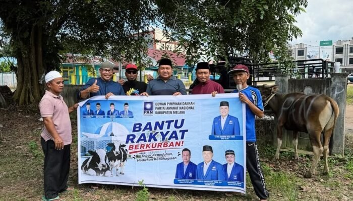 DPD PAN Melawi Bantu Rakyat Kurban 1 Ekor Sapi Di Masjid Agung Kota Juang Melawi