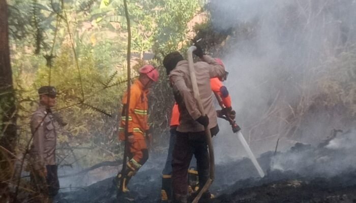 Api Kembali Berkobar! 4 Hektare Lahan Terbakar di Sungai Raya Pinoh Utara