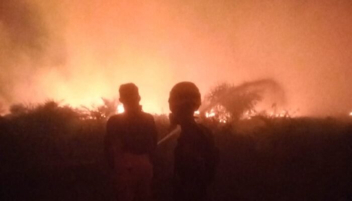Lima Desa Dikepung Karhutla, Ratusan Hektare Lahan Gambut dan Hutan Adat Terbakar