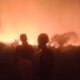 Lima Desa Dikepung Karhutla, Ratusan Hektare Lahan Gambut dan Hutan Adat Terbakar