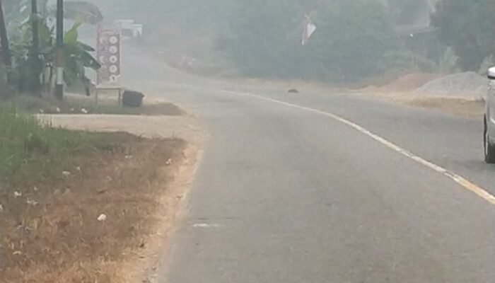 Kabut Asap Tebal Melanda Sejumlah Wilayah Melawi, Jarak Pandang Hanya 10 Meter