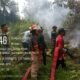 Gerak Cepat Koramil Nanga Pinoh Tanggapi Laporan Warga, Api Bakar 2 Hektare Lahan di Tanjung Niaga