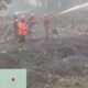 Api Masih Berkobar, Satgas Karhutla Melawi Hari Ini Tangani Tiga Wilayah