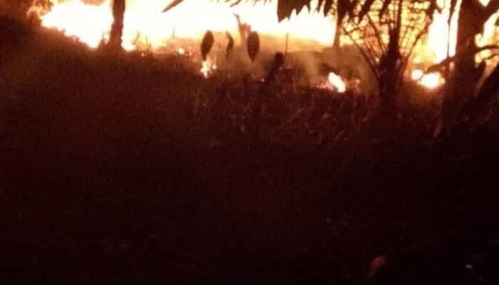 Karhutla Melawi Capai 90 Hektare, BPBD Koordinasi dengan Provinsi Minta Bantuan Tim Satgas Udara untuk Water Bombing