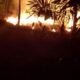 Karhutla Melawi Capai 90 Hektare, BPBD Koordinasi dengan Provinsi Minta Bantuan Tim Satgas Udara untuk Water Bombing