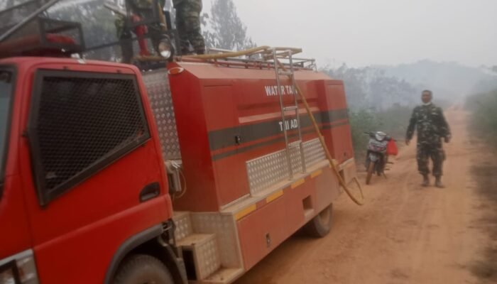 Api Terus Menyala di Lahan Gambut, Karhutla Melawi Capai 229,6 Hektare Lahan Terbakar di Empat Lokasi