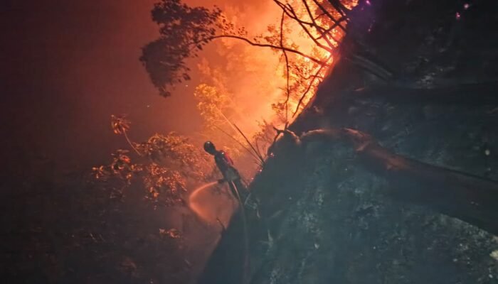 Api Kepung Lima Desa di Melawi, Medan Sulit dan Lahan Gambut Hambat Pemadaman