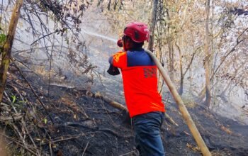 Kamis, Api Kepung Tiga Desa di Melawi! 279 Hektare Lahan Terbakar