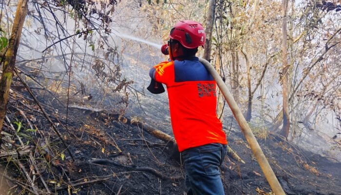Kamis, Api Kepung Tiga Desa di Melawi! 279 Hektare Lahan Terbakar