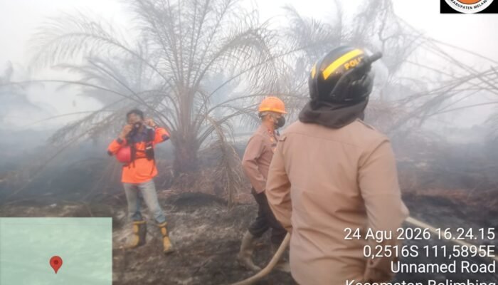 Api Belum Padam! Karhutla Bakar 304 Hektare Lahan Gambut di Desa Nanga Kayan dan Batu Nanta
