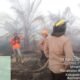 Api Belum Padam! Karhutla Bakar 304 Hektare Lahan Gambut di Desa Nanga Kayan dan Batu Nanta