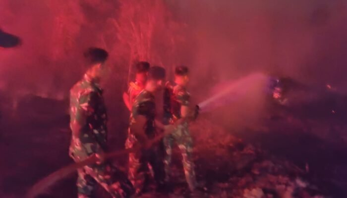 32 Titik Karhutla Ditangani Koramil Nanga Pinoh, Api Menyebar di 8 Desa pada 3 Kecamatan, 46 Hektare Dipadamkan