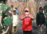 Wabup Melawi Cek Lokasi Bekas Kebakaran PT SMS, Tata Kelola Perkebunan Jadi Sorotan