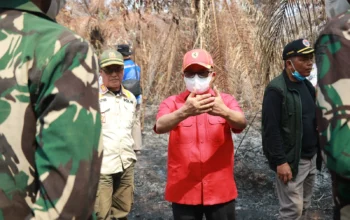 Wabup Melawi Cek Lokasi Bekas Kebakaran PT SMS, Tata Kelola Perkebunan Jadi Sorotan