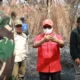 Wabup Melawi Cek Lokasi Bekas Kebakaran PT SMS, Tata Kelola Perkebunan Jadi Sorotan