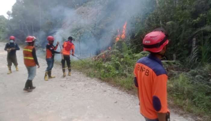 Dalam Satu Hari Tiga Lokasi Dilaporkan Dilanda Karhutla, 219 Hektare Lahan Gambut dan Semak Terbakar