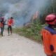 Dalam Satu Hari Tiga Lokasi Dilaporkan Dilanda Karhutla, 219 Hektare Lahan Gambut dan Semak Terbakar
