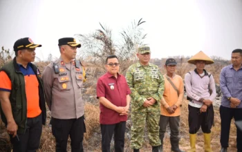 155 Hektare Lahan Terbakar di Belimbing Hulu, Pemkab Melawi Siagakan Posko dan Satgas