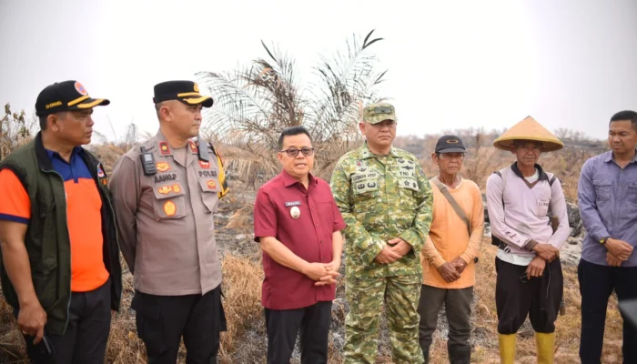 155 Hektare Lahan Terbakar di Belimbing Hulu, Pemkab Melawi Siagakan Posko dan Satgas