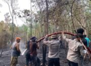 Tiga Jam Berjibaku, Tim Gabungan Berhasil Padamkan Karhutla di Desa Tanjung Lay