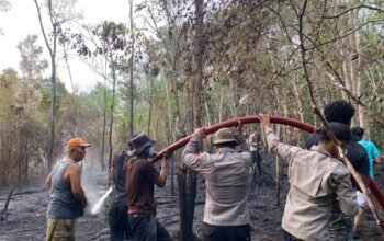 Tiga Jam Berjibaku, Tim Gabungan Berhasil Padamkan Karhutla di Desa Tanjung Lay