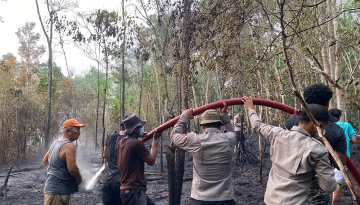 Tiga Jam Berjibaku, Tim Gabungan Berhasil Padamkan Karhutla di Desa Tanjung Lay
