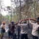 Tiga Jam Berjibaku, Tim Gabungan Berhasil Padamkan Karhutla di Desa Tanjung Lay