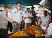 Sekda Melawi Pantau Harga Kebutuhan Pokok, Cabai Tembus Rp180 Ribu per Kilogram