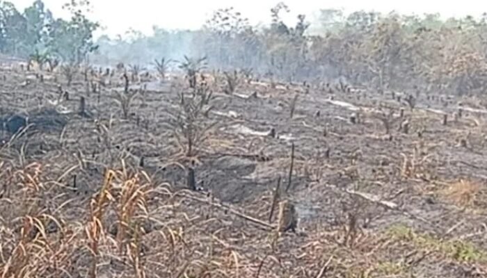 Titik Api Mulai Padam, BPBD Melawi Ingatkan Lahan Gambut Masih Berpotensi Kembali