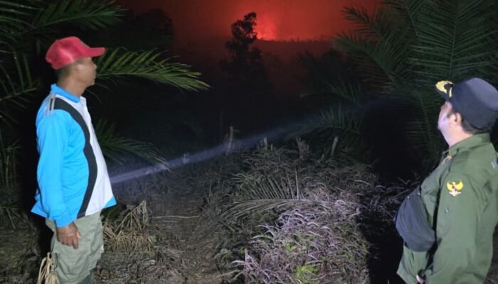 Karhutla di Sulub Permai Melawi Meluas, Api Mengancam Permukiman Warga